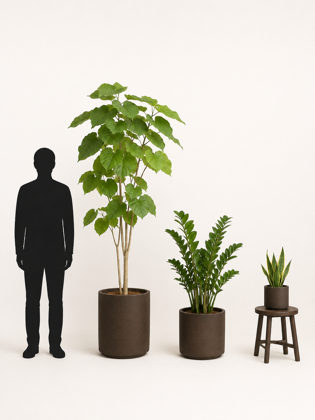 人のシルエットと並べて、L・M・Sの3サイズの観葉植物の高さを比較した図（AI生成のイメージ画像）